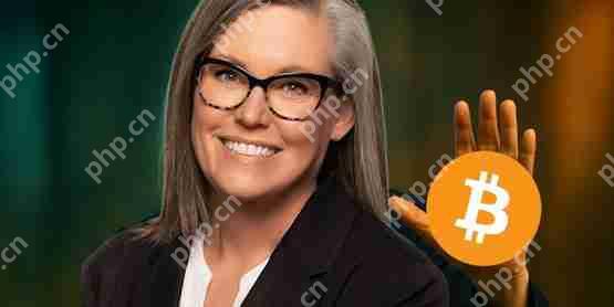 美国亚利桑那州长否决比特币储备法案导读：虚拟货币是未经验证的投资